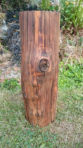 Tree stump table hardwood log