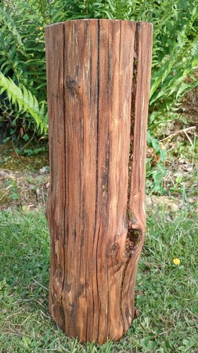 Tree stump table - hardwood, log