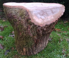 Huge tree stump table